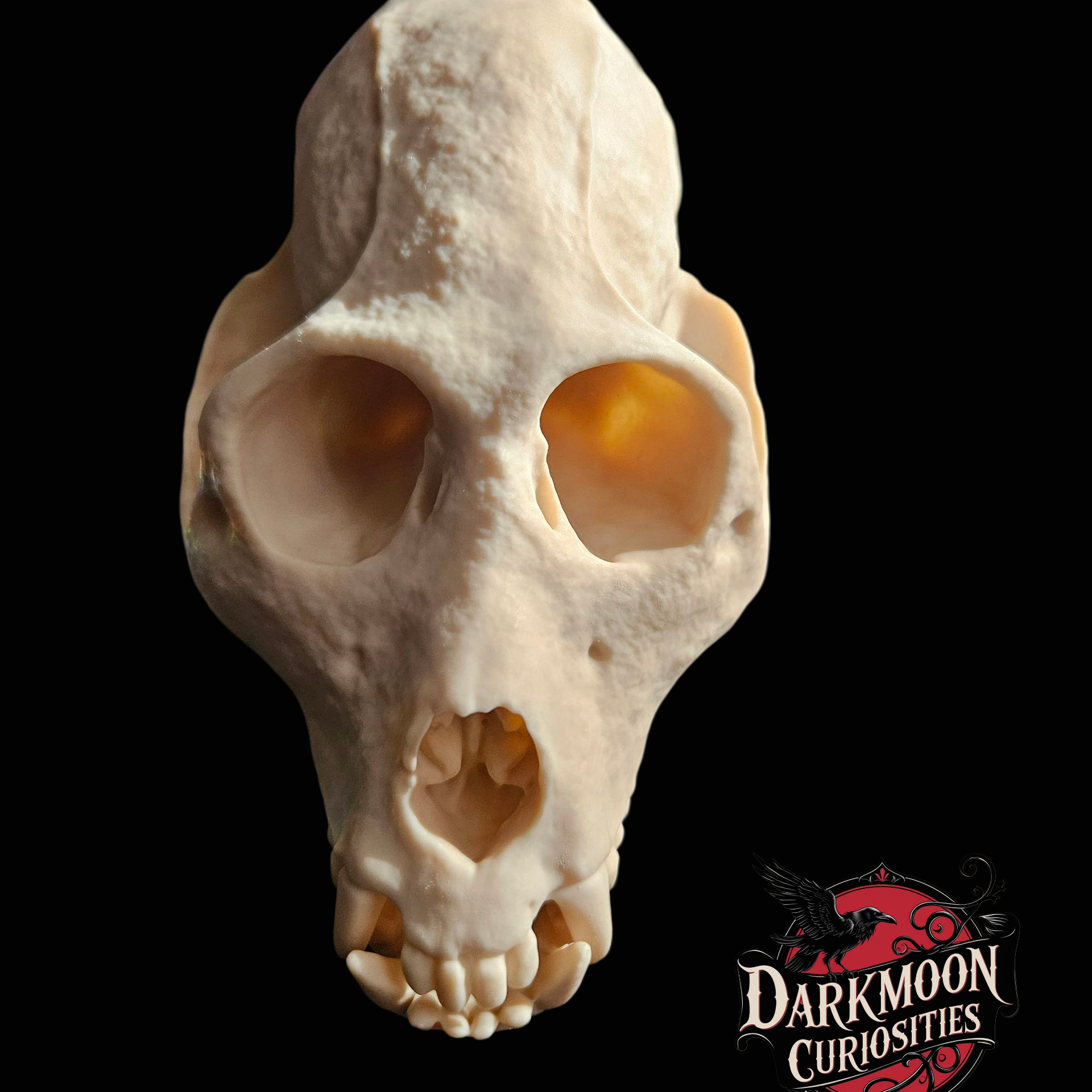 Darkmoon Curiosities 