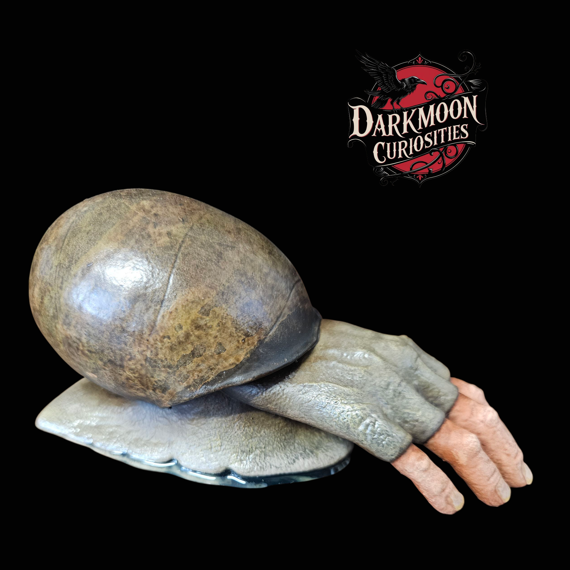 Darkmoon Curiosities 
