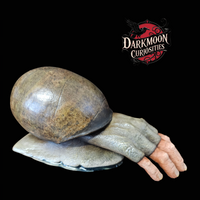 Darkmoon Curiosities 