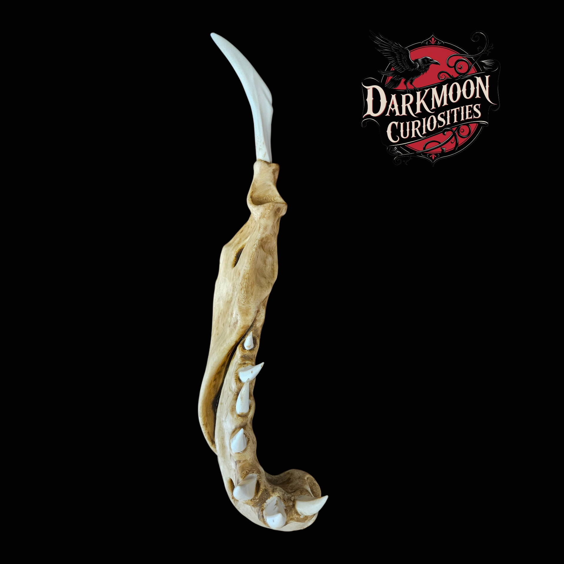 Darkmoon Curiosities 