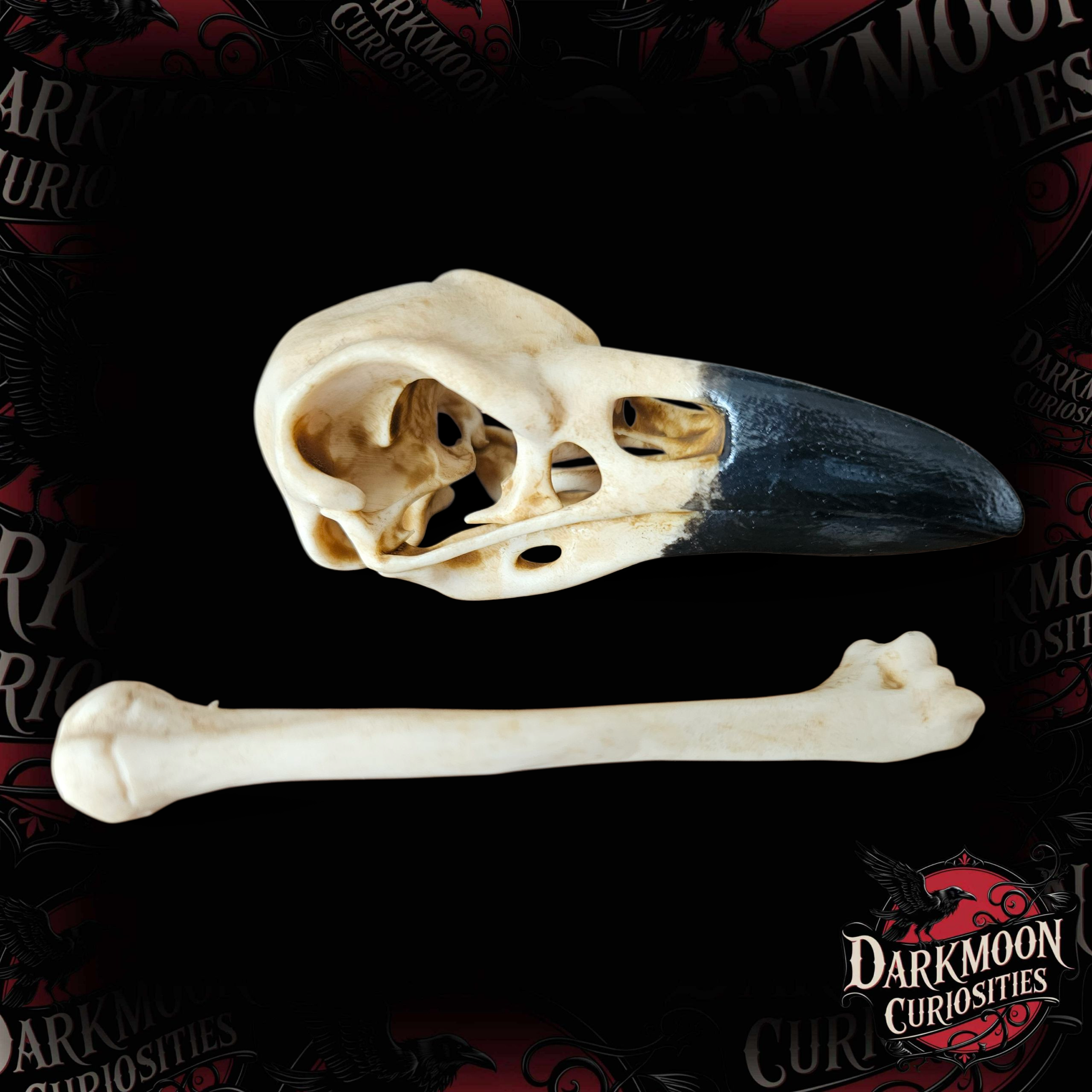 Darkmoon Curiosities 