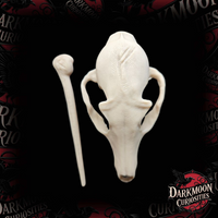 Darkmoon Curiosities 