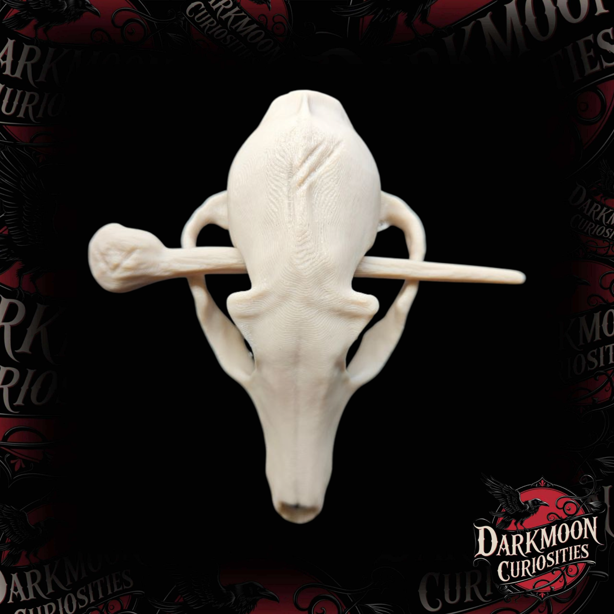 Darkmoon Curiosities 