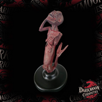 Darkmoon Curiosities 