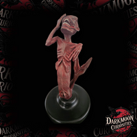 Darkmoon Curiosities 