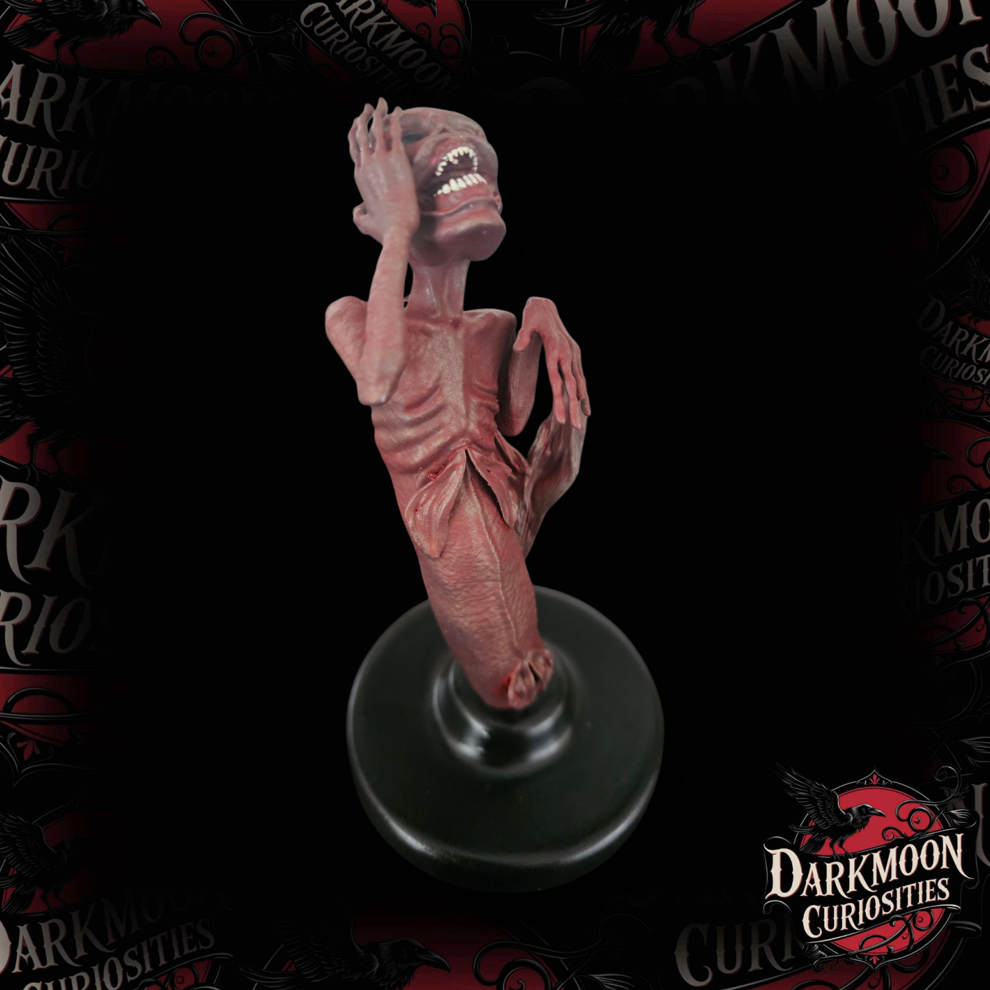 Darkmoon Curiosities 