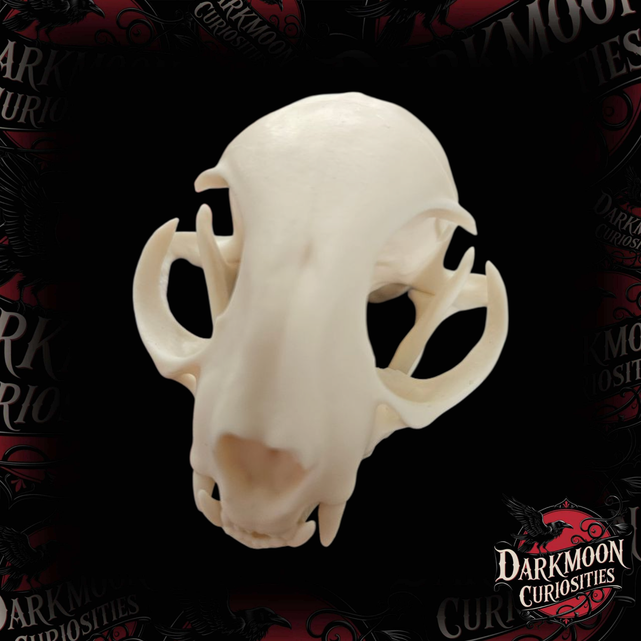 Darkmoon Curiosities 