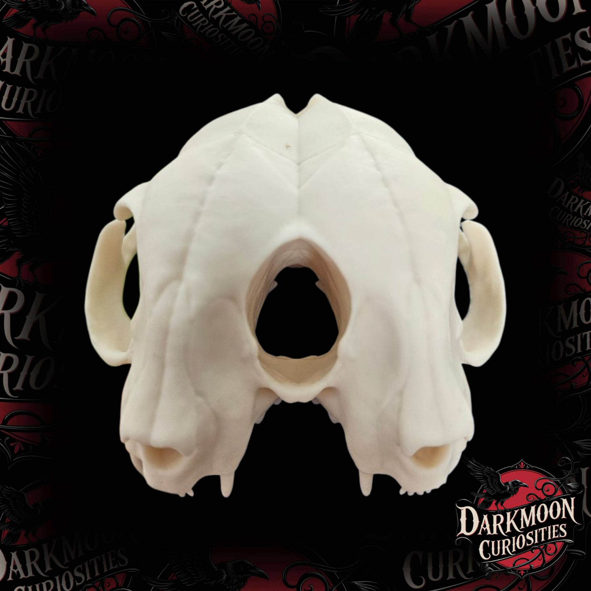 Darkmoon Curiosities 