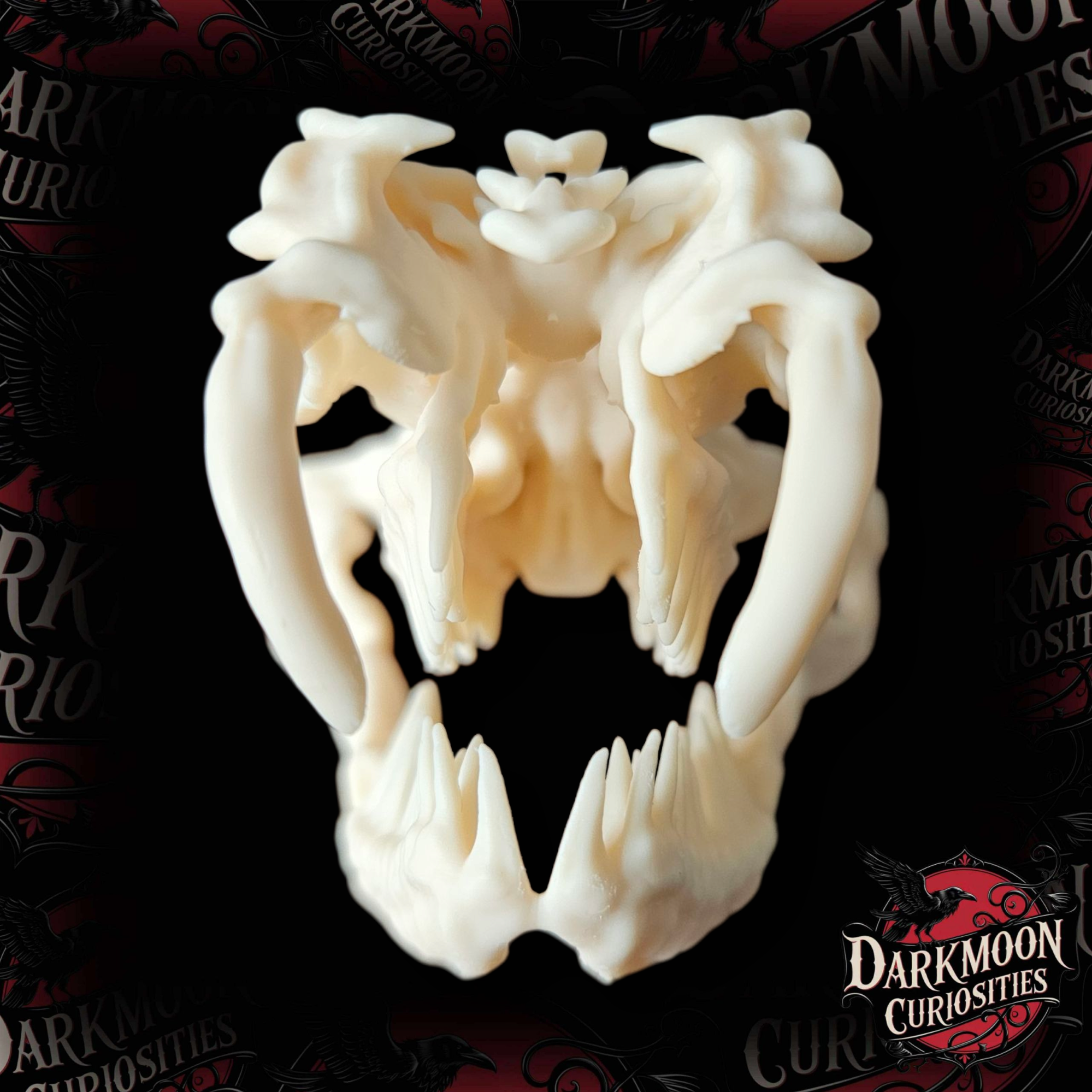 Darkmoon Curiosities 