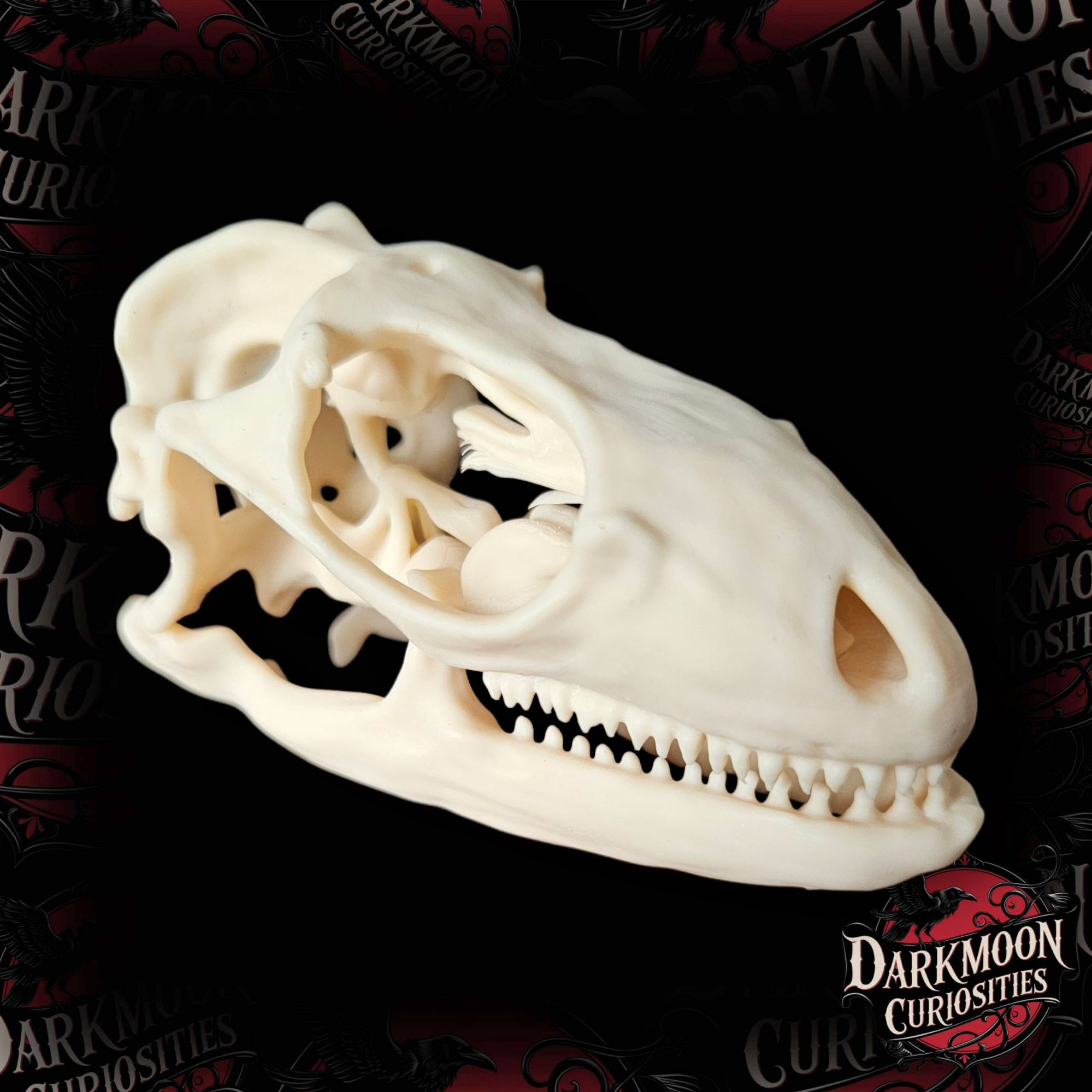 Darkmoon Curiosities 