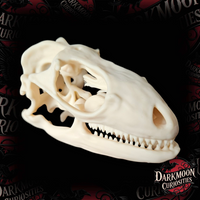 Darkmoon Curiosities 