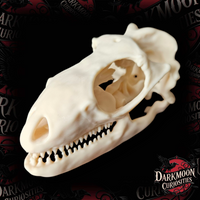 Darkmoon Curiosities 