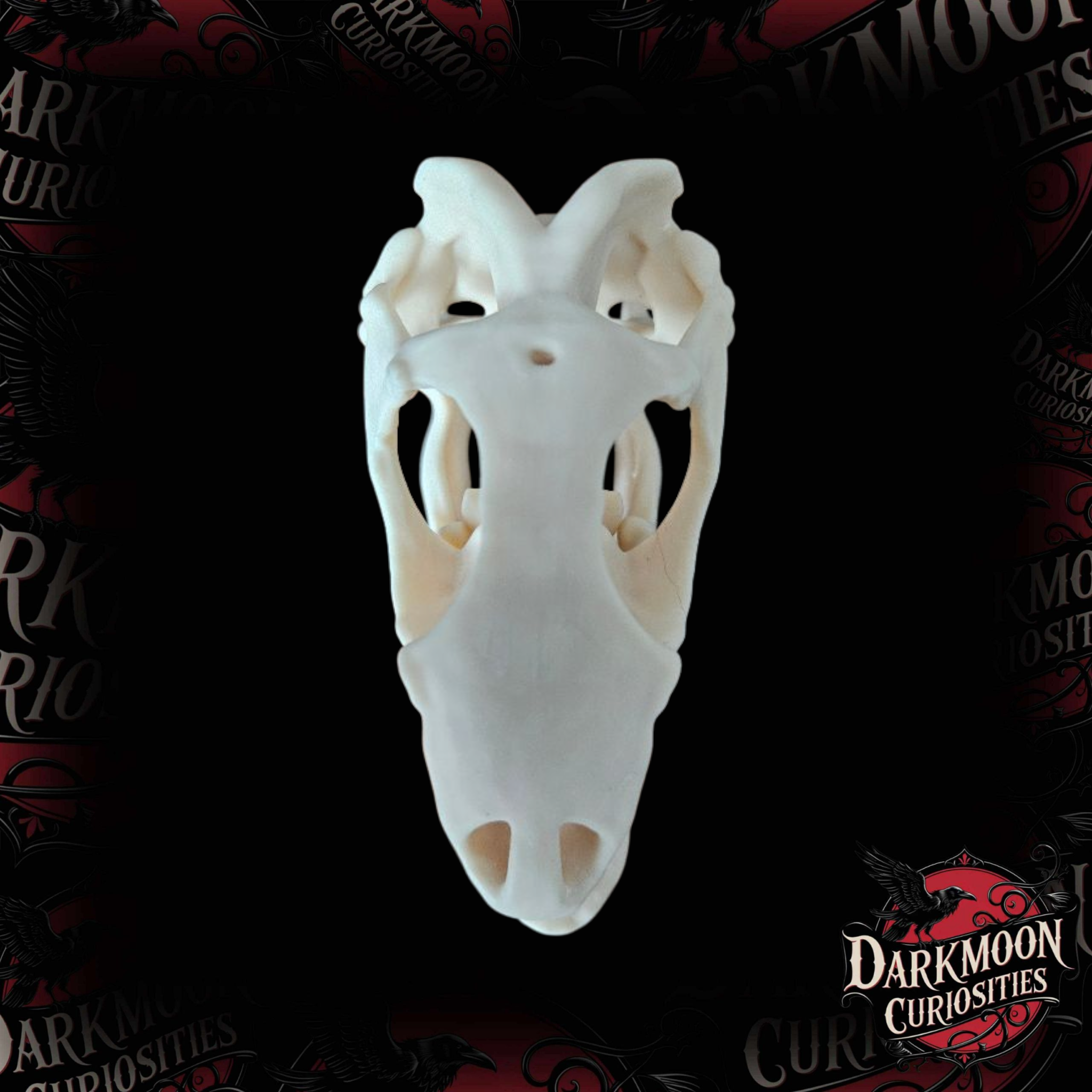 Darkmoon Curiosities 