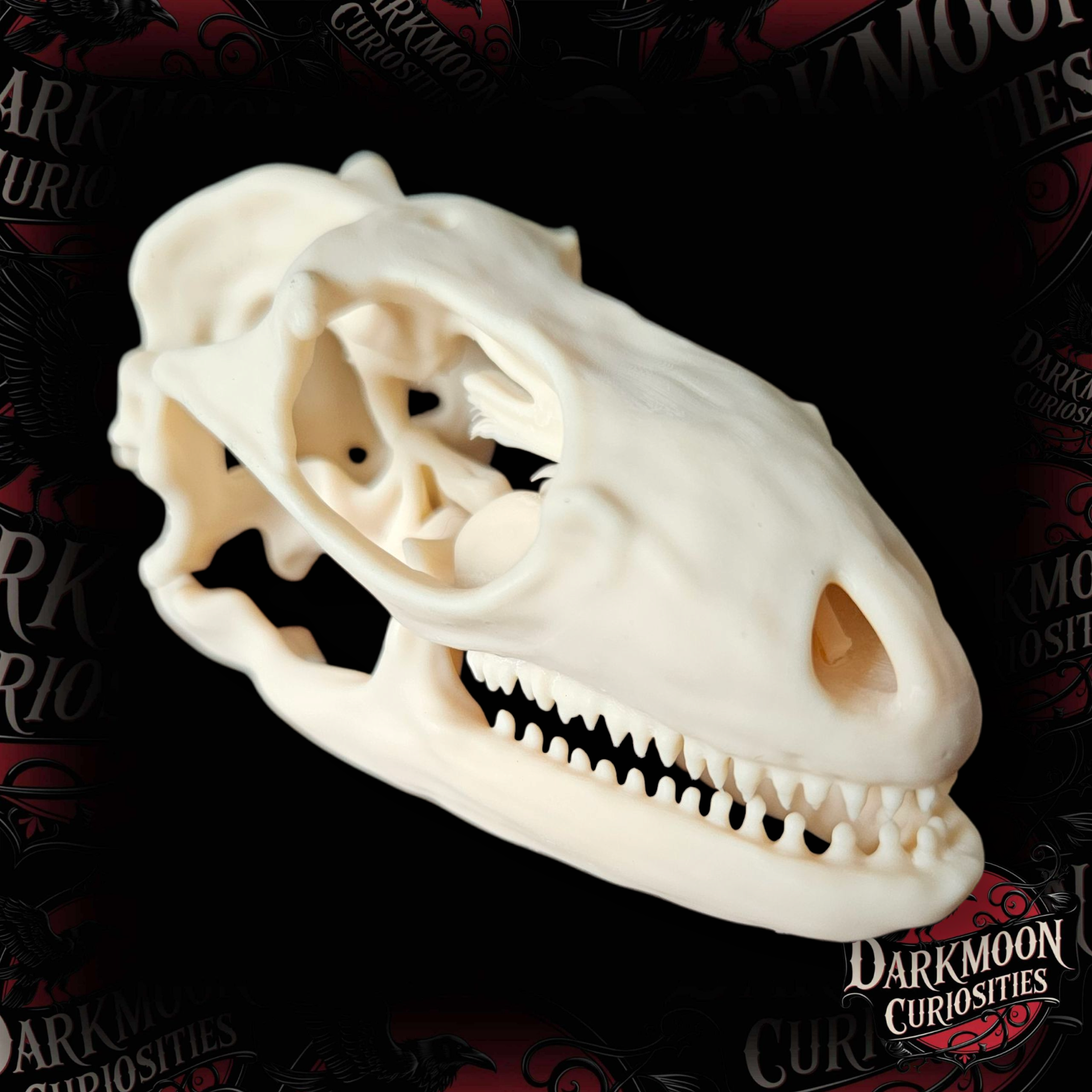 Darkmoon Curiosities 