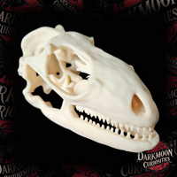 Darkmoon Curiosities 