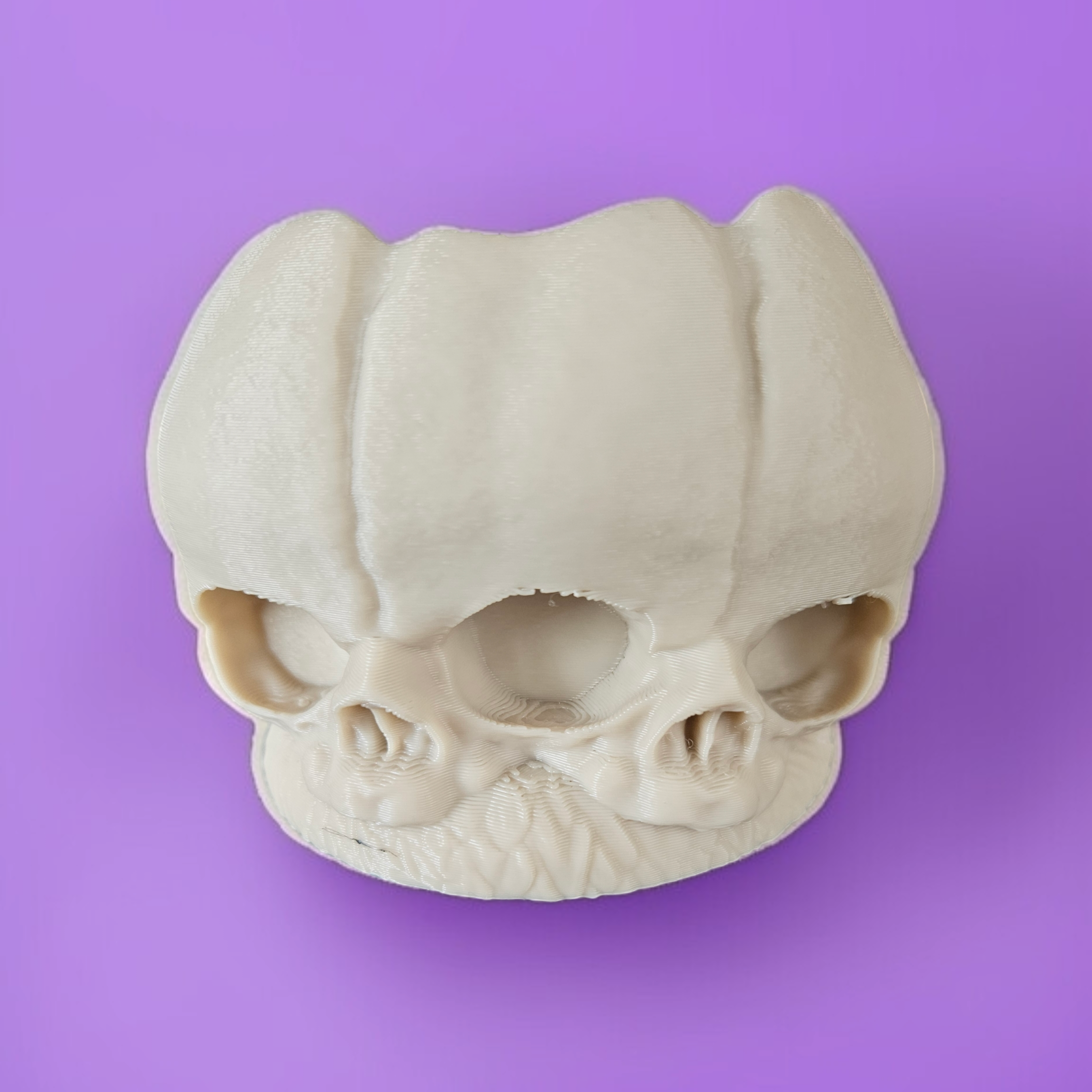 Darkmoon Curiosities 