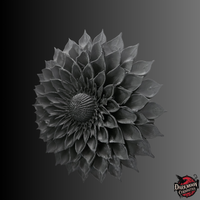 Darkmoon Curiosities 